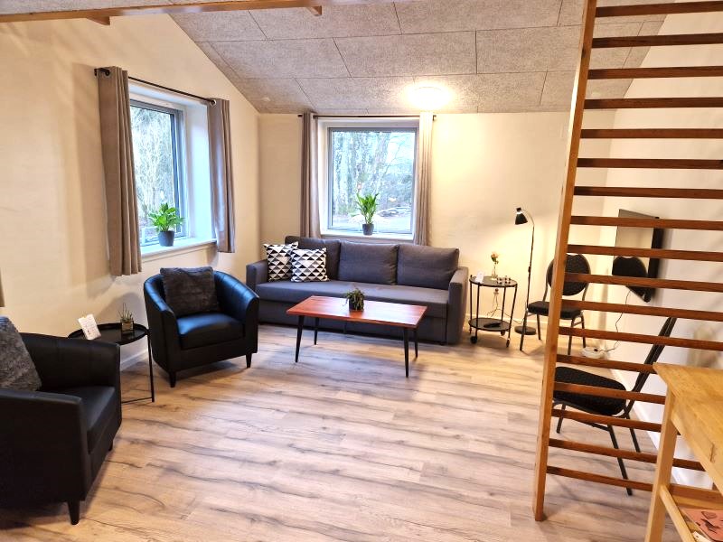 Hemse-stuen med sovesofa, magelige stole, gammel ribbe som adgang til hemsen