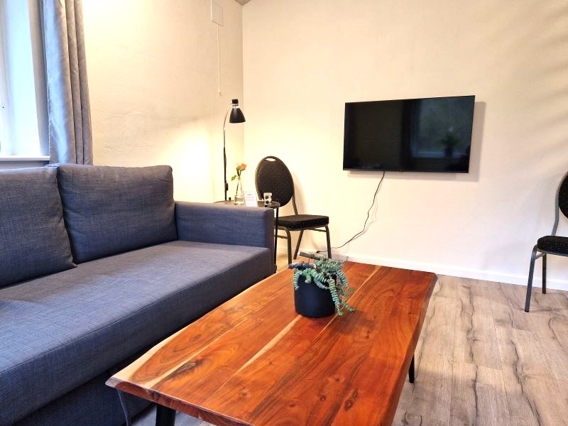 Hemse-stuen med sovesofa, sofabord med grøn plante, tv på væggen, standerlampe og stol