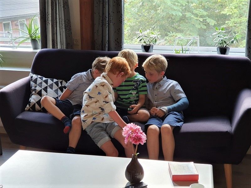 Fire drenge hygger sig i sofa med et spil. Udsigt til grønne træer 